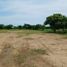  Land for rent in Cerete, Cordoba, Cerete, Cordoba