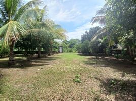  Land for sale in Monteria, Cordoba, Monteria