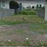  Land for rent in Monteria, Cordoba, Monteria, Cordoba