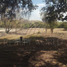  Land for sale in Juarez, Nuevo Leon, Juarez