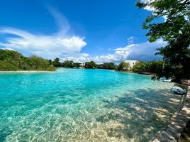 Terreno (Parcela) en venta en Chicxulub Pueblo, Yucatán, Chicxulub Pueblo