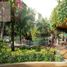 52.91 SqM Office for sale in Merida, Yucatan, Merida