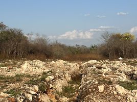  Grundstück zu verkaufen in Merida, Yucatan, Merida