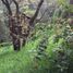  Terreno (Parcela) en venta en Cuajimalpa De Morelos, Ciudad de México, Cuajimalpa De Morelos
