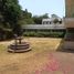 5,920 Sqft Office for rent in Alvaro Obregon, Mexico City, Alvaro Obregon