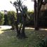  Terreno (Parcela) en venta en Coyoacan, Ciudad de México, Coyoacan