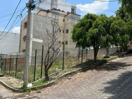  Grundstück zu vermieten in Naucalpan De Juarez, Mexico, Naucalpan De Juarez