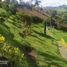 4 Habitación Villa en venta en Museo de Antioquia, Medellín, Medellín