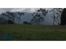  Land for sale in Envigado, Antioquia, Envigado