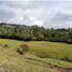  Land for sale in Rionegro, Antioquia, Rionegro, Antioquia