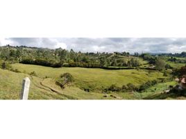  Land for sale in Rionegro, Antioquia, Rionegro, Antioquia