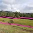  Land for sale in Rionegro, Antioquia, Rionegro, Antioquia