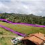  Land for sale in Rionegro, Antioquia, Rionegro, Antioquia