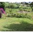  Land for sale in Cali, Valle Del Cauca, Cali