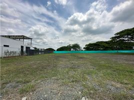  Land for sale in Palmira, Valle Del Cauca, Palmira