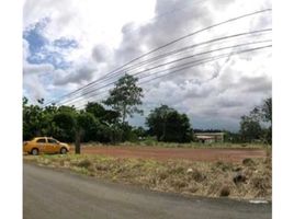  Terreno (Parcela) en venta en Panamá Oeste, Barrio Colón, La Chorrera, Panamá Oeste