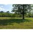  Land for sale in Barichara, Santander, Barichara