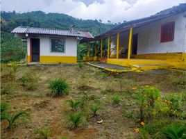 Studio Villa for sale in Pereira, Risaralda, Pereira