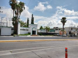 515 SqM Office for rent in Nuevo Leon, Monterrey, Nuevo Leon
