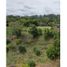  Land for sale in Cauca, Popayan, Cauca