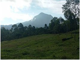  Land for sale in Fredonia, Antioquia, Fredonia