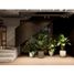 4 Habitación Casa en venta en Medellín, Antioquia, Medellín, Antioquia