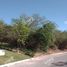  Terreno (Parcela) en venta en Santiago, Nuevo León, Santiago, Nuevo León