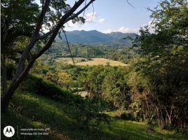  Land for sale in La Mesa, Cundinamarca, La Mesa