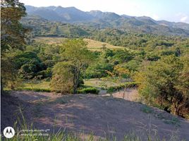  Land for sale in La Mesa, Cundinamarca, La Mesa