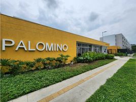 2 Bedroom Condo for sale in Palmira, Valle Del Cauca, Palmira