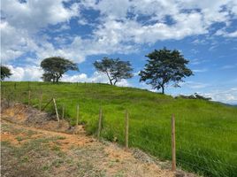  Terrain for sale in San Jeronimo, Antioquia, San Jeronimo