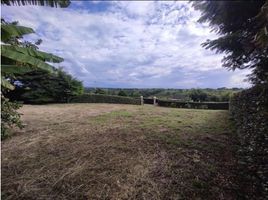  Land for sale in Pereira, Risaralda, Pereira