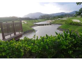 2 Habitación Apartamento en alquiler en Ancón, Panamá, Ancón, Ciudad de Panamá, Panamá, Panamá