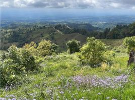 Estudio Casa en venta en Boquerón, Chiriquí, Guayabal, Boquerón