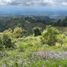 Studio Villa for sale in Guayabal, Chiriqui, Guayabal, Boqueron