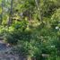  Land for sale in Xico, Veracruz, Xico