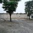  Land for sale in Emiliano Zapata, Veracruz, Emiliano Zapata