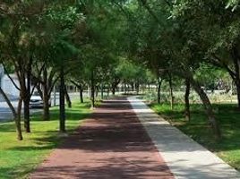  Grundstück zu verkaufen in San Pedro Garza Garcia, Nuevo Leon, San Pedro Garza Garcia, Nuevo Leon