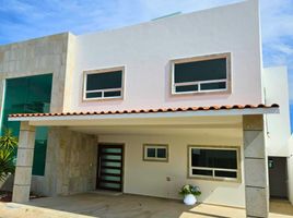 Maison 3 chambre à vendre à Toluca, Mexico, Toluca