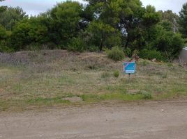  Terreno (Parcela) en venta en Monte Hermoso, Buenos Aires, Monte Hermoso