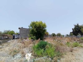  Land for sale in Colima, Colima, Colima, Colima