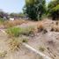  Land for sale in Colima, Colima, Colima, Colima