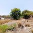  Land for sale in Colima, Colima, Colima, Colima