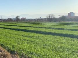 Terreno (Parcela) en alquiler en Nuevo León, Pesqueria, Nuevo León