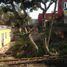在Coatepec, Veracruz出售的 土地, Coatepec