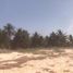  Terreno (Parcela) en venta en Carmen, Campeche, Carmen, Campeche