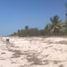  Terreno (Parcela) en venta en Carmen, Campeche, Carmen, Campeche