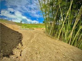  Land for sale in El Carmen De Viboral, Antioquia, El Carmen De Viboral