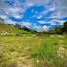  Land for sale in El Carmen De Viboral, Antioquia, El Carmen De Viboral