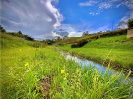  Land for sale in El Carmen De Viboral, Antioquia, El Carmen De Viboral